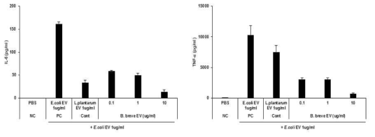 B. breve EV pretreatment 효능평가 결과: IL-6 (좌), TNF-α (우)