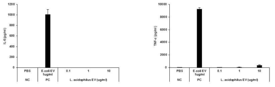 L. acidophilus EV 처리 후, 사이토카인 분비량 측정 결과: IL-6 (좌), TNF-α (우)