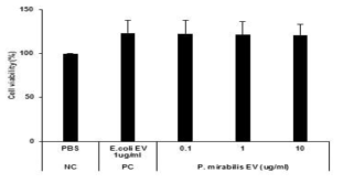 P. mirabilis EV 세포독성 평가 결과