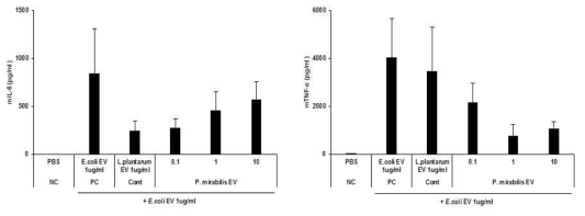 P. mirabilis EV pretreatment 효능평가 결과: IL-6 (좌), TNF-α (우)