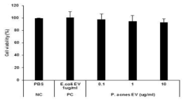 P. acnes EV 세포독성 평가 결과