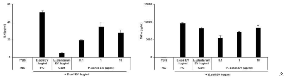 P. acnes EV pretreatment 효능평가 결과: IL-6 (좌), TNF-α (우)