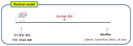 덱스트란 식이에 의한 대장염 모델