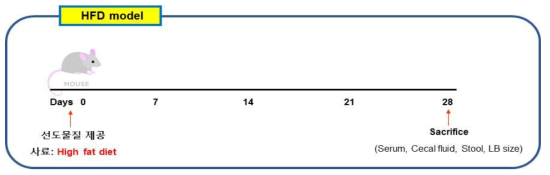 고지방 식이에 의한 당뇨병 동물 모델