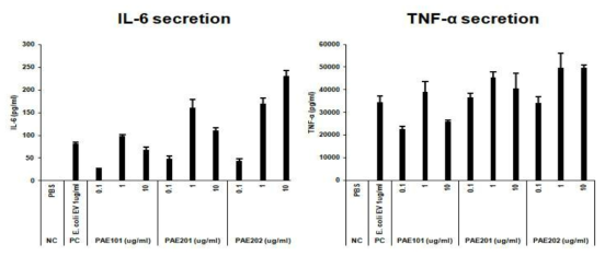 P. aeruginosa EV에 의해 유도된 사이토카인 분비량 측정 결과: IL-6 (좌), TNF-α (우)