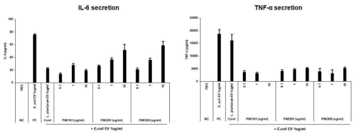 P. aeruginosa EV 전처리 효능평가: IL-6 (좌), TNF-α (우)