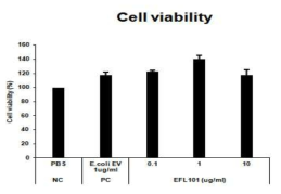 E. faecalis EV 세포독성 평가 결과