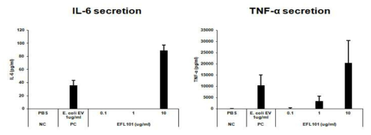 E. faecalis EV에 의해 유도된 사이토카인 분비량 측정 결과: IL-6 (좌), TNF-α (우)