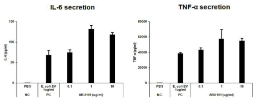 A. baumannii EV에 의해 유도된 사이토카인 분비량 측정 결과: IL-6 (좌), TNF-α (우)
