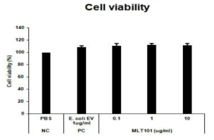 M. luteus EV 세포독성 평가 결과