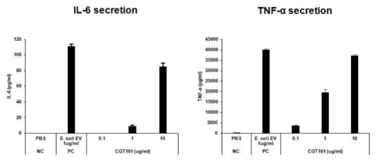 C. glutamicium EV에 의해 유도된 사이토카인 분비량 측정 결과: IL-6(좌), TNF-α(우)