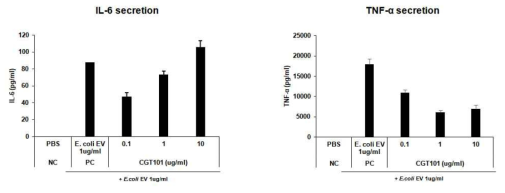 C. glutamicium EV 전처리 효능평가: IL-6 (좌), TNF-α (우)