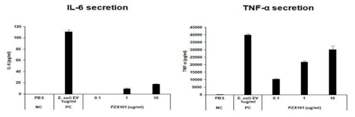 P. zeaxanthinifaciens EV에 의해 유도된 사이토카인 분비량 측정 결과: IL-6(좌), TNF-α(우)