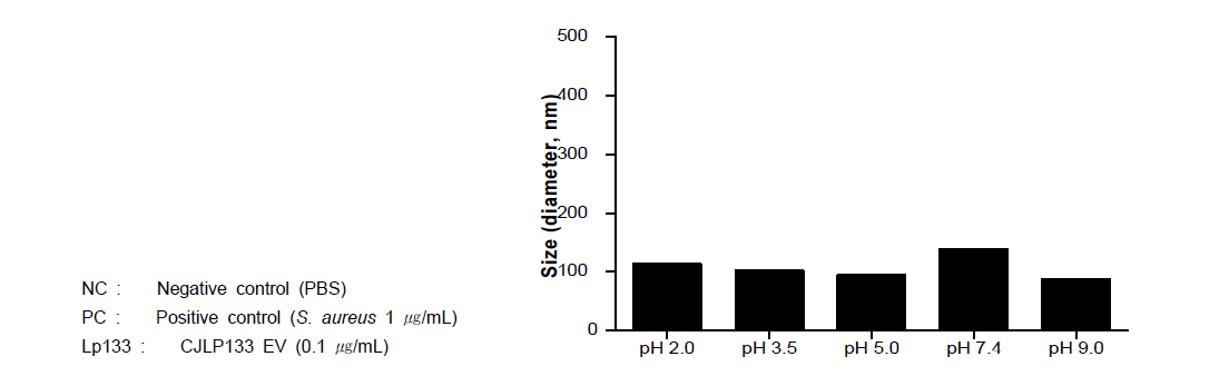 pH에 따른 유산균 유래소포의 크기 변화