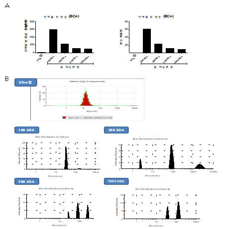정제 공정별 나노소포 측정 분석 그래프(A: 정제 공정 별, 총 단백질 정량법, BCA 법 B:정제공정 별, 나노파티클사이즈 측정법,DLS 법)