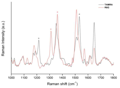 형광 dye에 따른 PCR 최종산물 표면-증강라만 신호