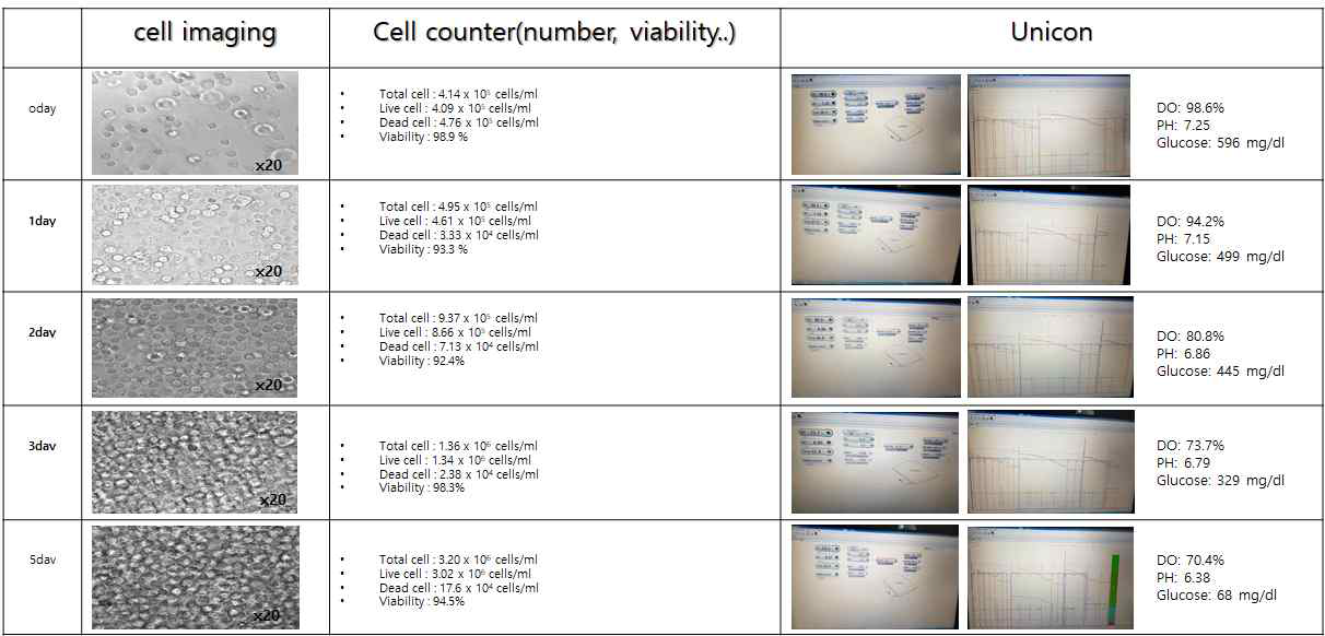 순차적 진탕배양에 따른 세포생존율, 세포수 및 배양조건 변화 분석 (DO, Glucose, pH)