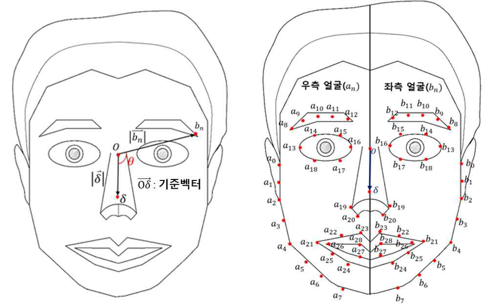 얼굴 비대칭성을 측정하는 알고리즘 설명도