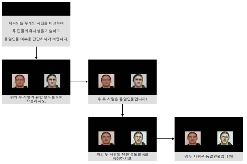 실험 진행과정