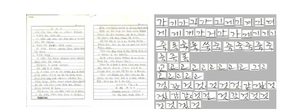 샘플 문서(왼쪽), 문서에서 추출한 샘플 문자들(오른쪽)