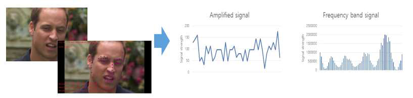 미세 표정 신호의 주파수 분해 모듈 이미지