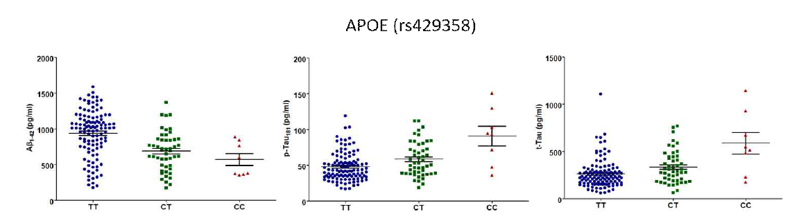 APOE 치매위험 유전변이의 유전형에 따른 CSF내 Aβ42, tTau, pTau 정량 그래프