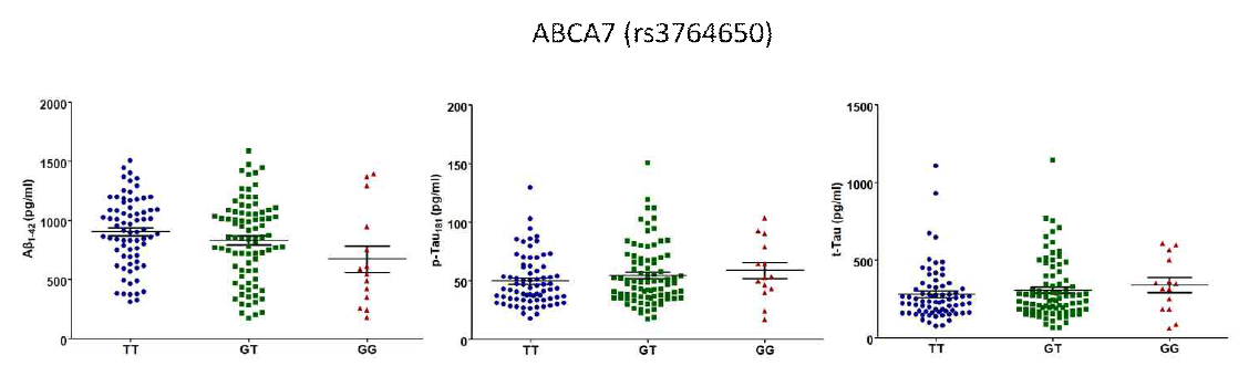ABCA7 치매위험 유전변이의 유전형에 따른 CSF내 Aβ42, tTau, pTau 정량 그래프