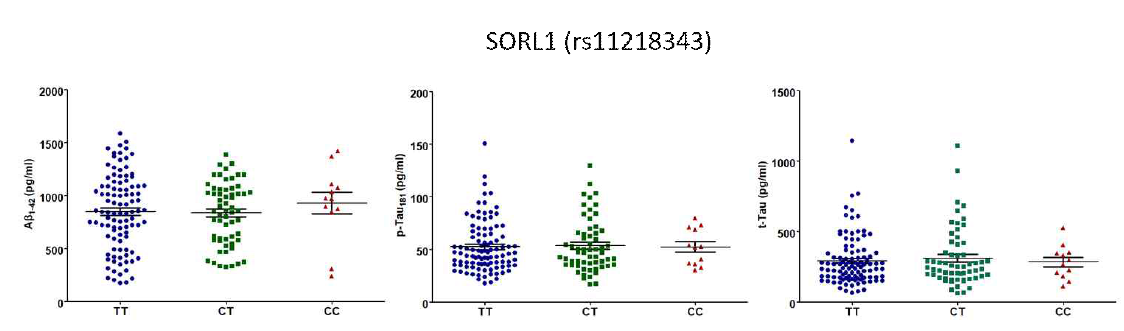 SORL1 치매위험 유전변이의 유전형에 따른 CSF내 Aβ42, tTau, pTau 정량 그래프