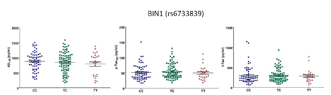 BIN1 치매위험 유전변이의 유전형에 따른 CSF내 Aβ42, tTau, pTau 정량 그래프