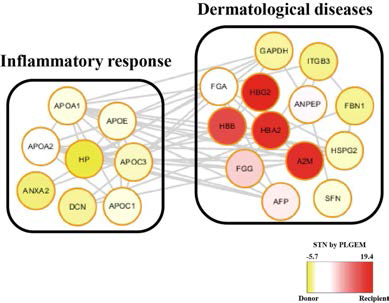 Interactive network analysis of final 28 MRM target proteins