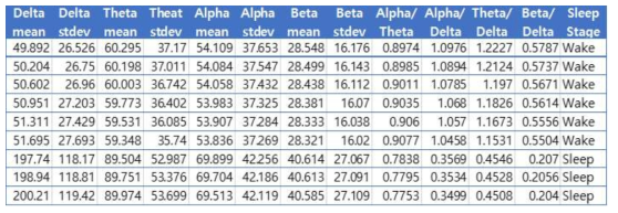 기계학습을 위해 추출된 특징 정보와 수면 단계(Wake/Sleep) 분류의 예