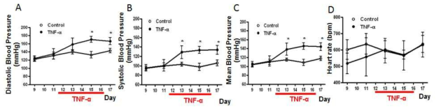 TNF-α가 유도한 임신 생쥐의 혈압 변화
