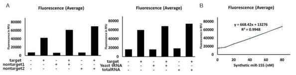 Random RNA를 이용한 specificity 실험(A), In spike test(B)