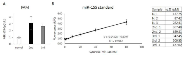 혈청 내 miR-155 검출결과(A), miR-155의 standard Graph(B), 혈청 내 miR-155 농도(C)