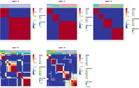 CPM 데이터에 대한 합의행렬 (consensus matrix)