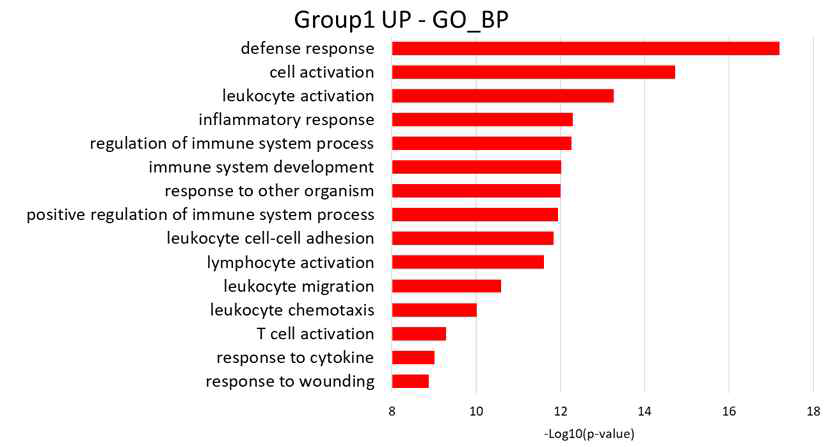 그룹 1의 고발현 유전자 GO 분석 결과