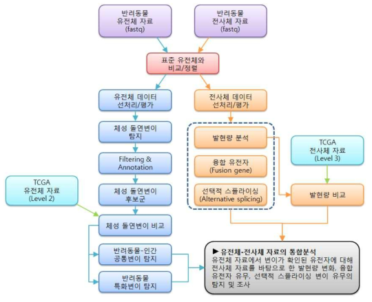 TCGA 데이터 기반 반려동물-인간 공통변이 및 반려동물 특화변이에 대한 유전체-전사체 통합분석