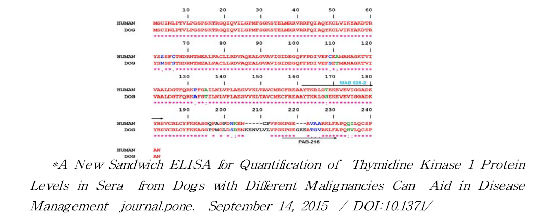 canine Thymidine Kinase의 유전자 서열
