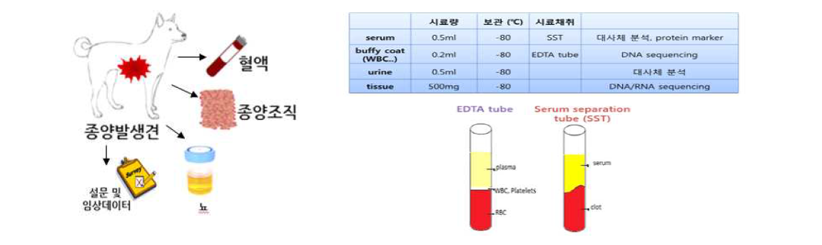 종양 발생견에서 확보한 생체시료 및 데이터(좌측), 시료 필요량 및 보관 방법(우측)