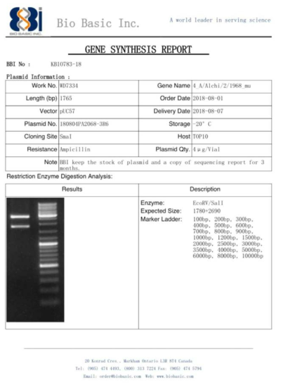 pUC57 벡터에 ID-14 유전자를 도입한 플라스미드 합성