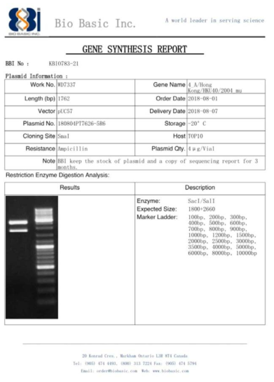 pUC57 벡터에 ID-18 유전자를 도입한 플라스미드 합성