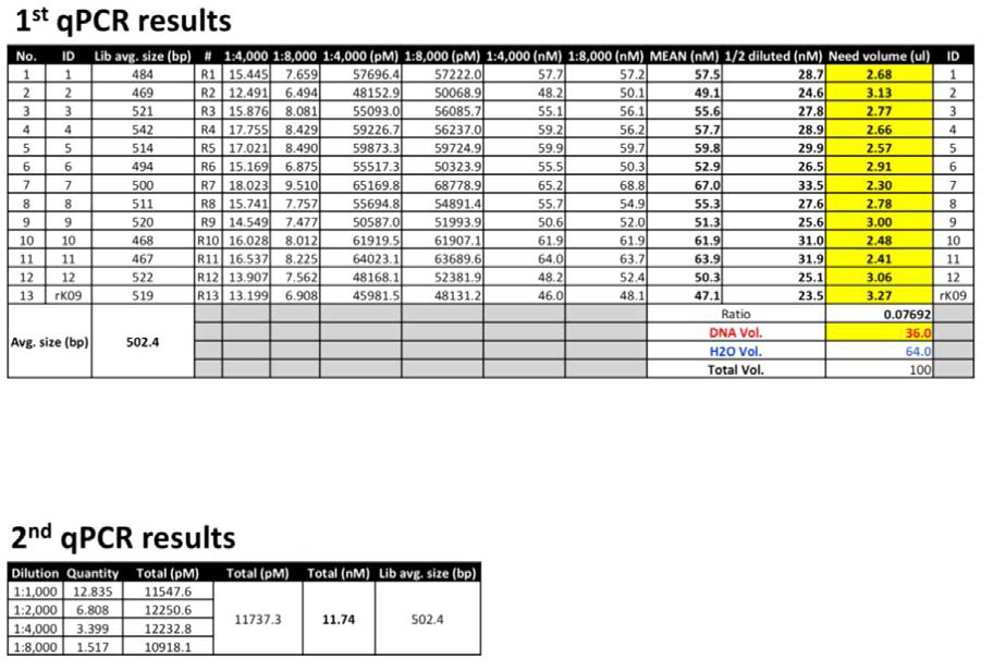 1st, 2nd qPCR을 통한 library 표준화 진행 결과