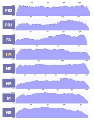 ID-1 바이러스 8개 분절의 coverage depth>100