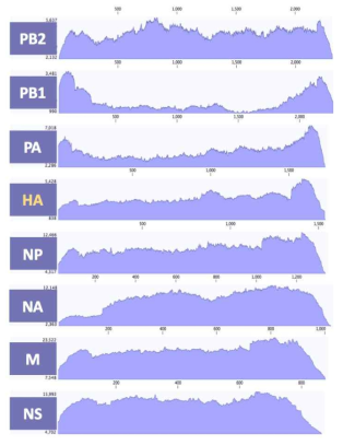 ID-2 바이러스 8개 분절의 coverage depth>100