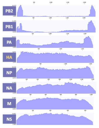 ID-3 바이러스 8개 분절의 coverage depth>100