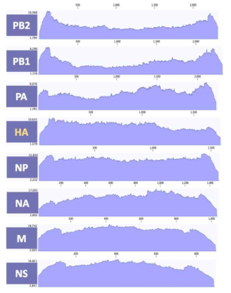 ID-4 바이러스 8개 분절의 coverage depth>100