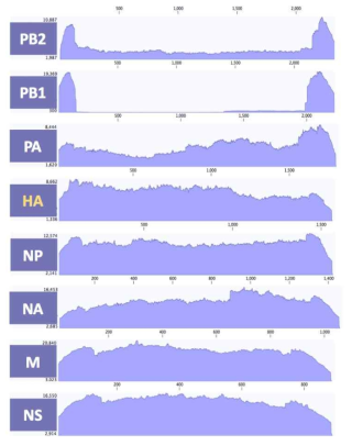 ID-5 바이러스 8개 분절의 coverage depth>100