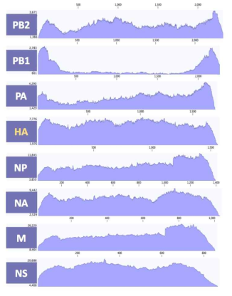 ID-6 바이러스 8개 분절의 coverage depth>100