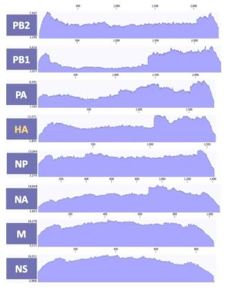 ID-8 바이러스 8개 분절의 coverage depth>100