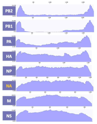 ID-9 바이러스 8개 분절의 coverage depth>100